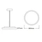 Custom LED ceiling light